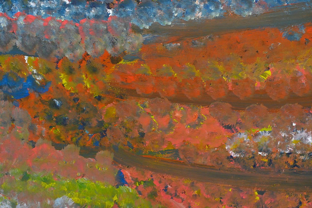 Alalgura (My Country) by Emily Kame Kngwarreye
