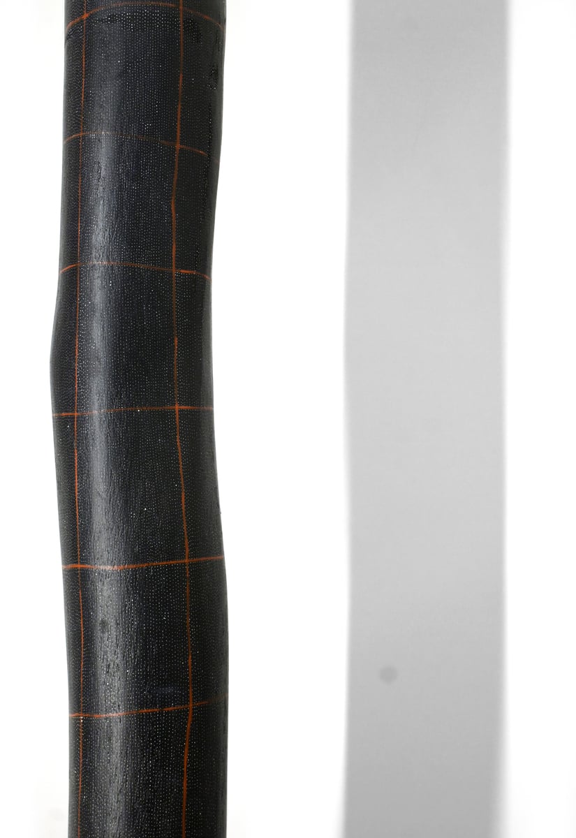 Lorrkon (Hollow Log) by Samson Bonson