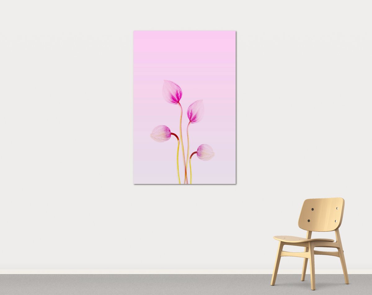 Sunset Blooms 2 by Sienna Hart
