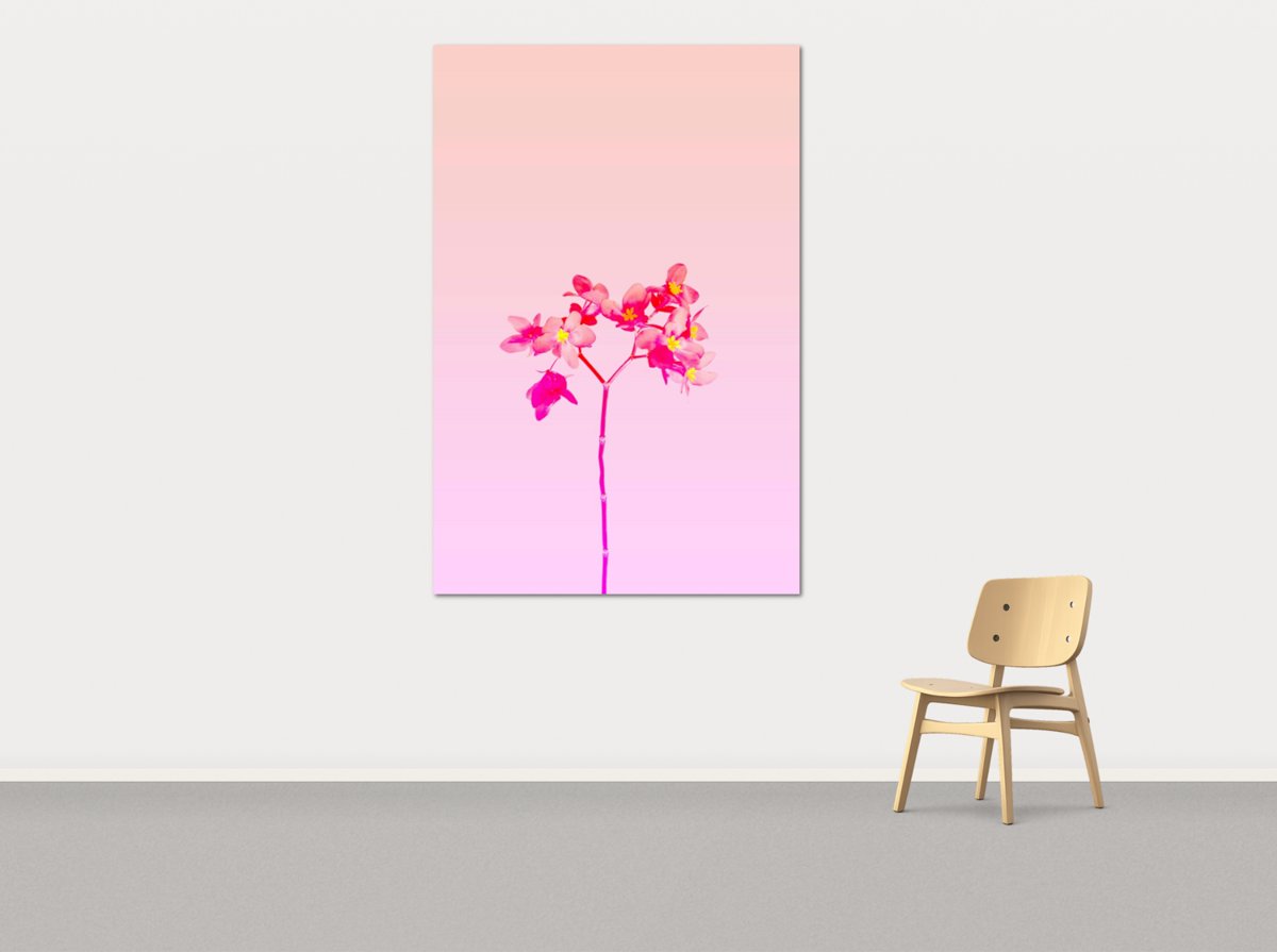 Dreamy Petal Palette by Lila Rowan