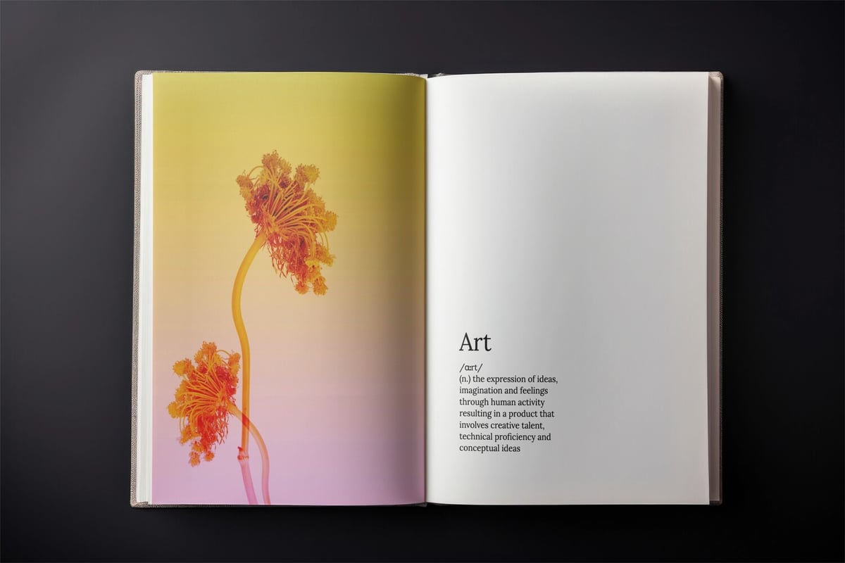 Chromatic Blossoms by Lila Rowan