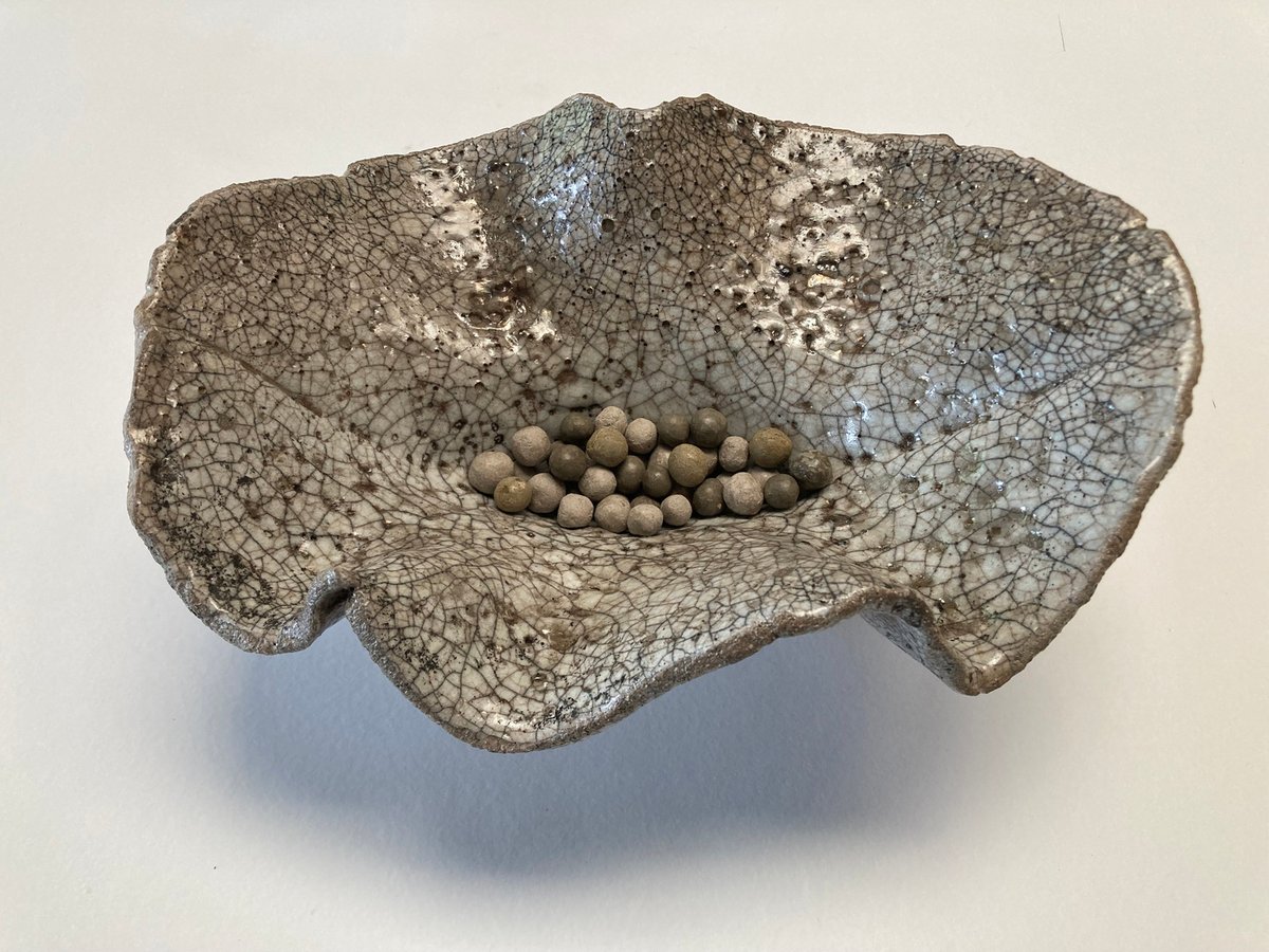 78. Organic form by Bronwen Bradshaw RWA