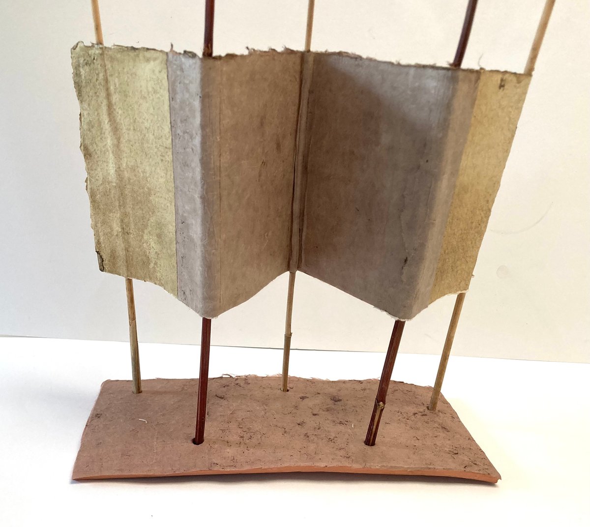 56. Cotinus by Bronwen Bradshaw RWA