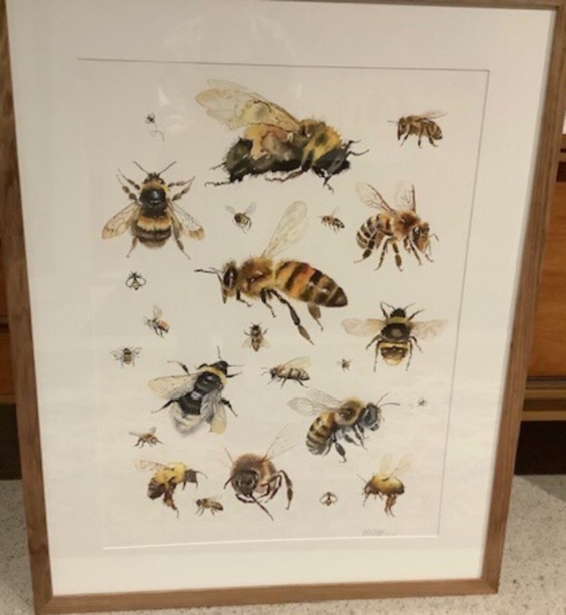 I Love Bees by Joan Denner