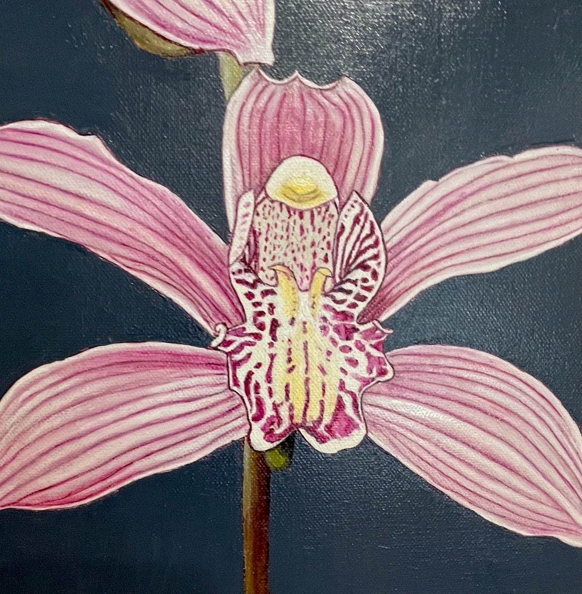 Pink and Magenta Orchids by Sylvia Barnes