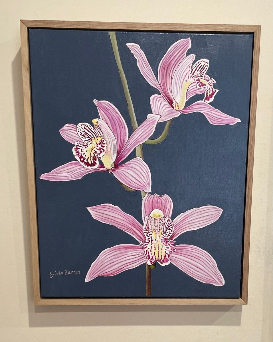 Pink and Magenta Orchids by Sylvia Barnes