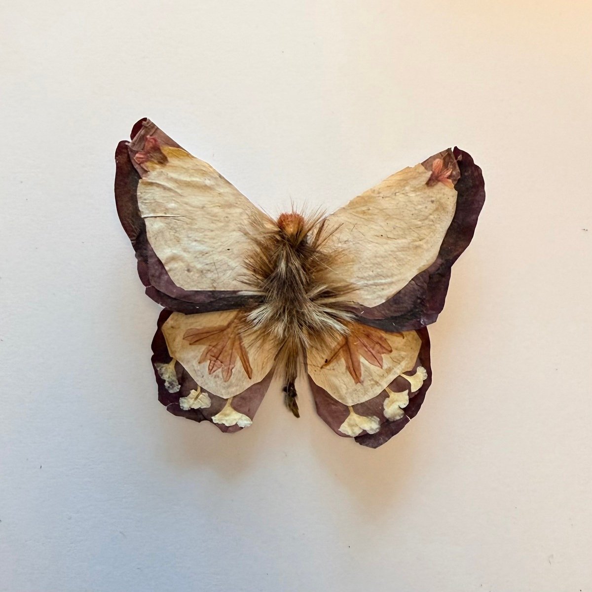 Butterfly Set by Emily Chibwana
