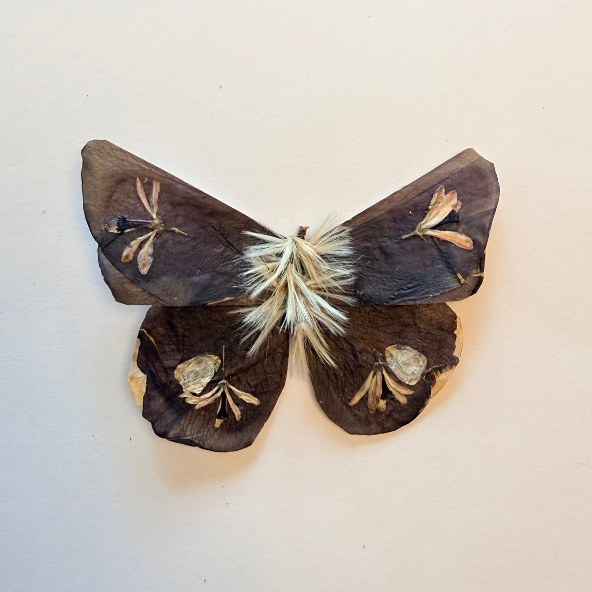 Butterfly Set 2 by Emily Chibwana