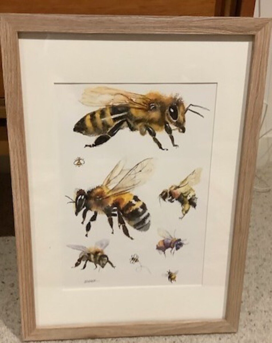 Many Bees by Joan Denner