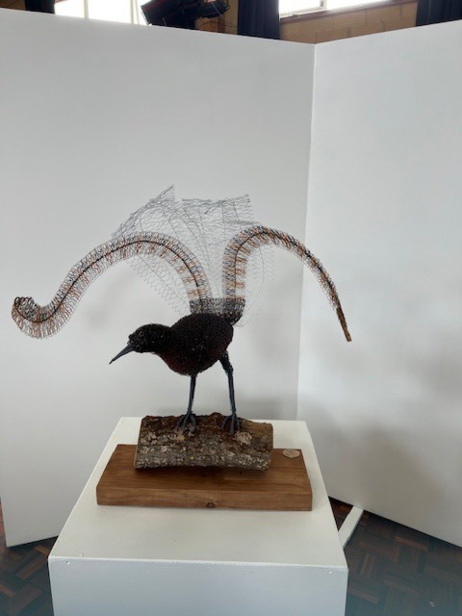 Lyre Bird by Vicki Combridge