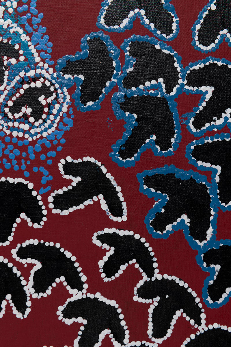 Ilkurlka by Spinifex Mens Collab