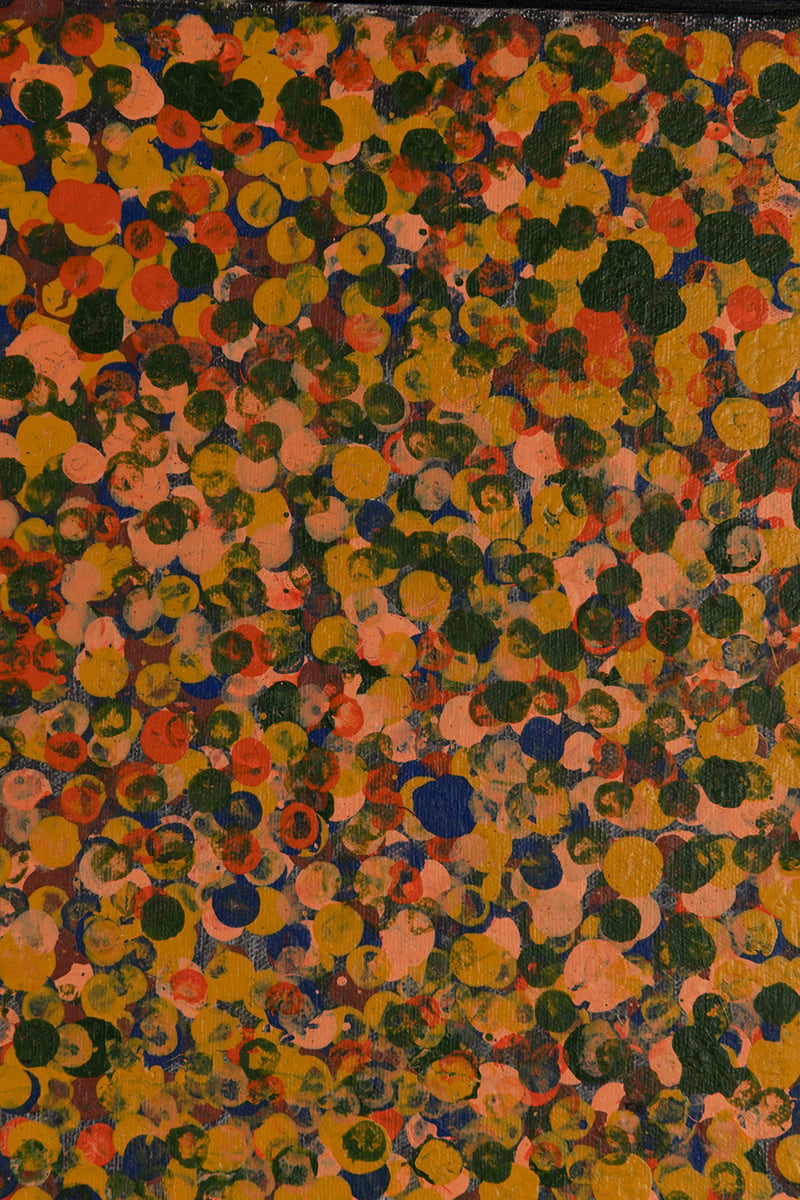Oorooterna - Wild Fruits by Emily Kam Kngwarray