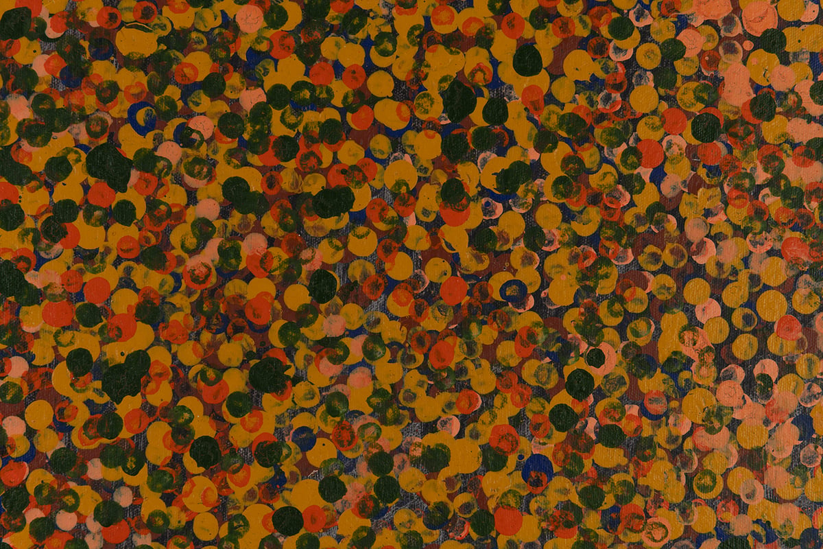 Oorooterna - Wild Fruits by Emily Kam Kngwarray