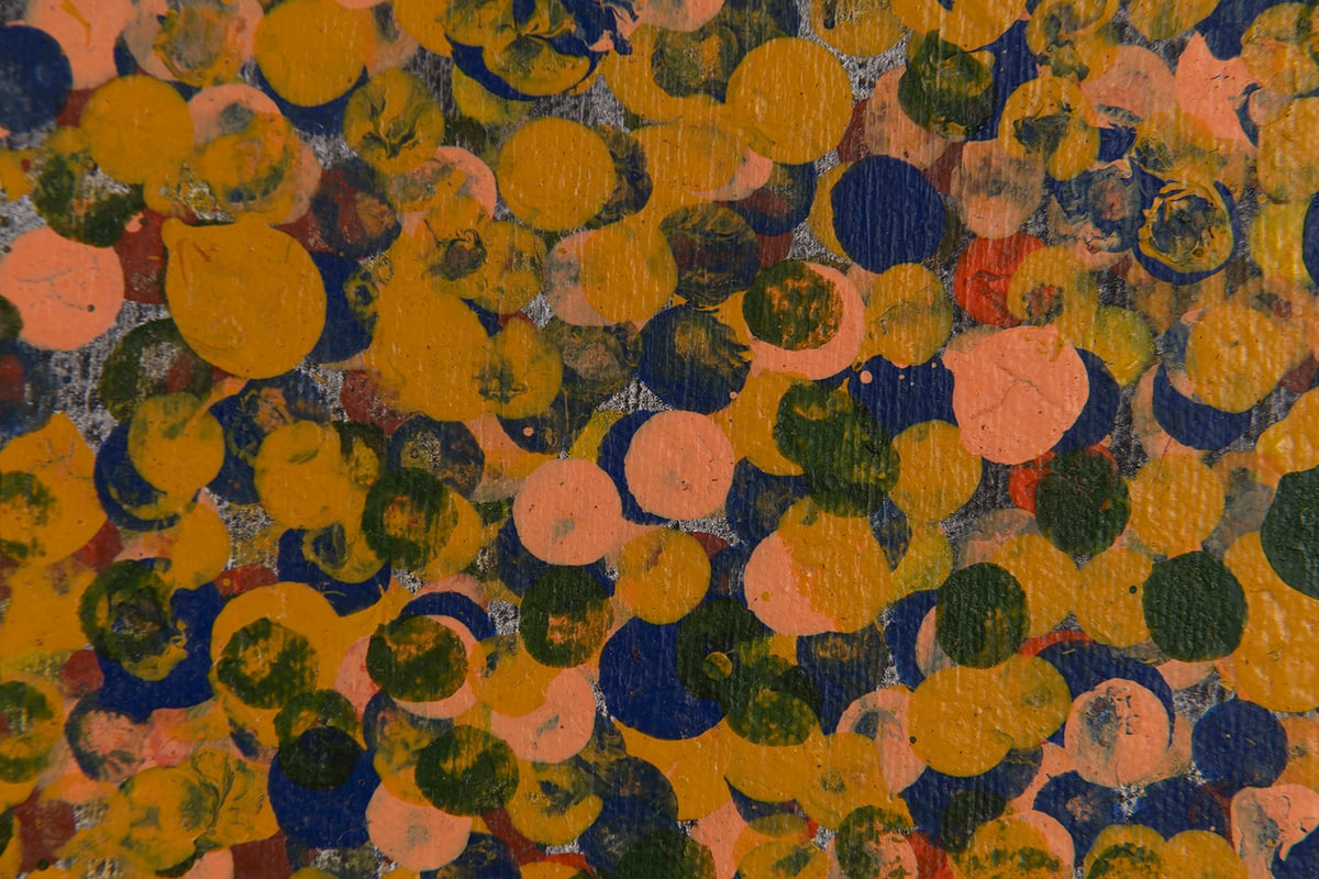 Oorooterna - Wild Fruits by Emily Kam Kngwarray