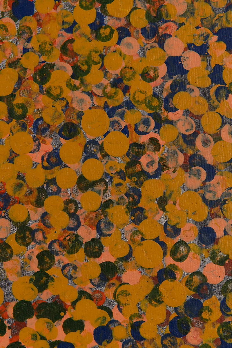 Oorooterna - Wild Fruits by Emily Kam Kngwarray