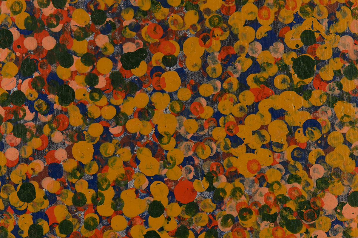 Oorooterna - Wild Fruits by Emily Kam Kngwarray