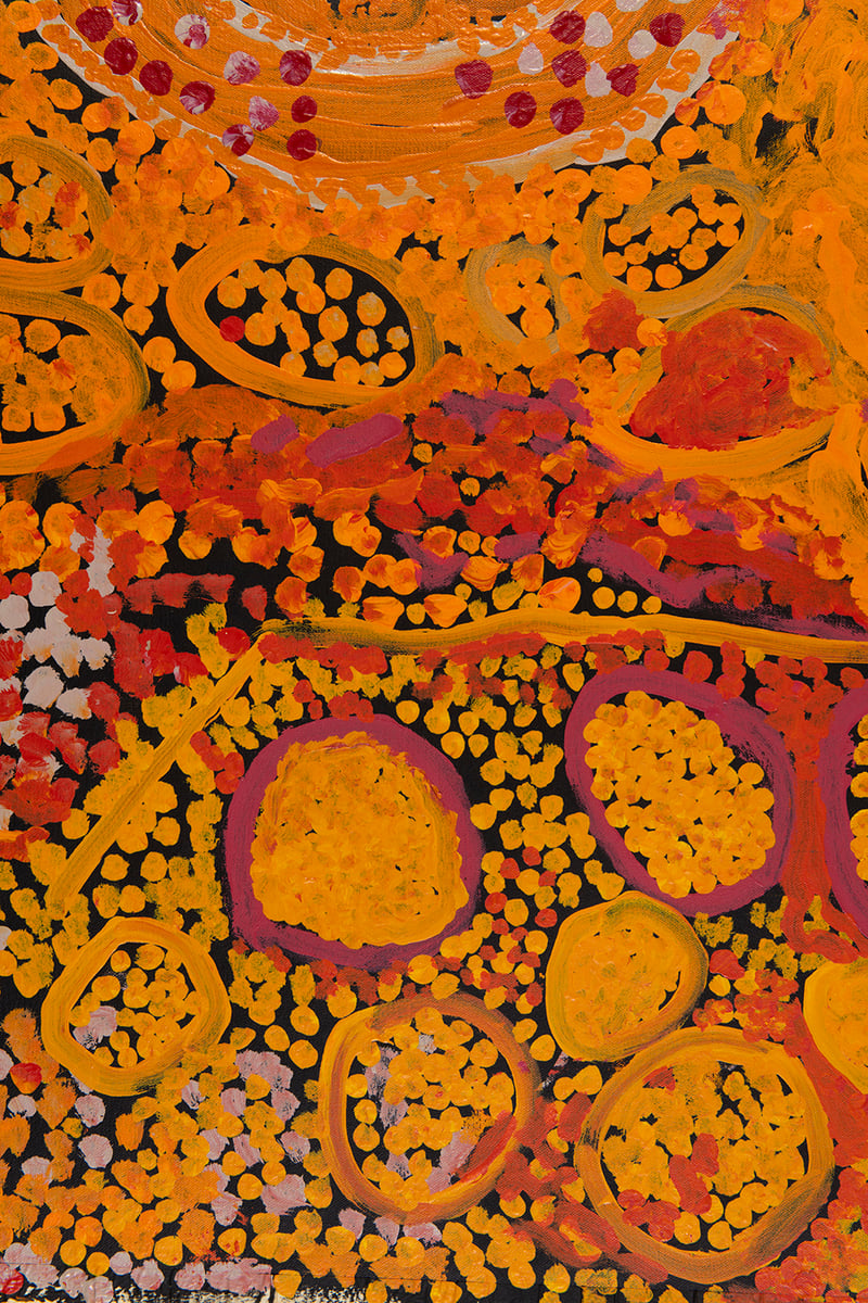 Piltati, Wati Waṉampi by Tiger Palpatja