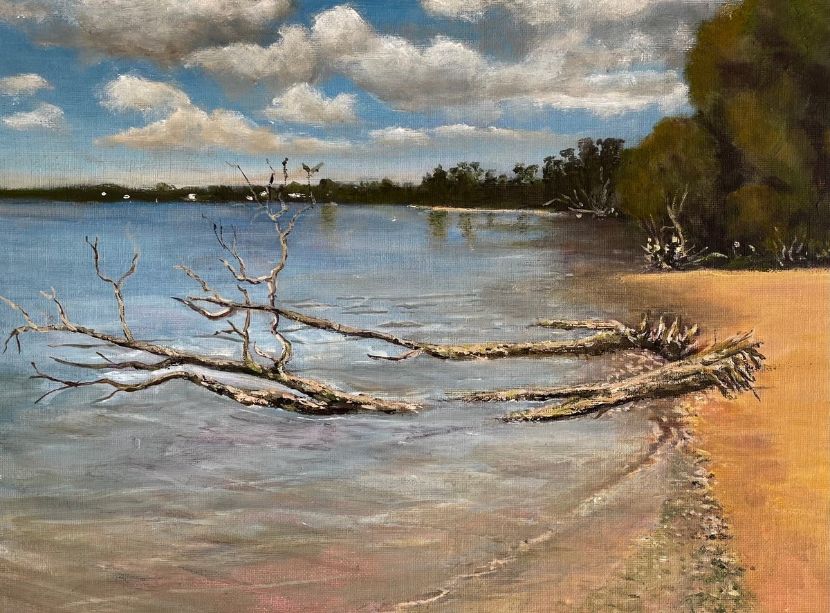 Fallen Tree Point Walter by David Harrison