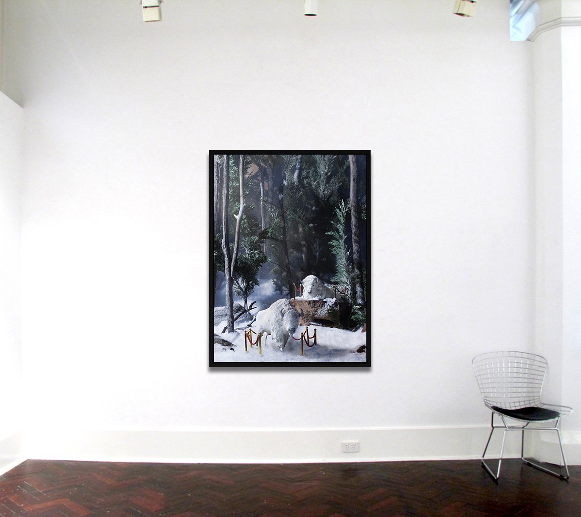 Encore by Cardwell + McLachlan