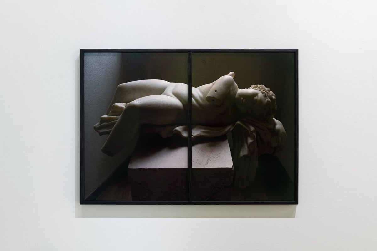 Suspended Time (Dormant Love) (diptych) by Ellen Dahl