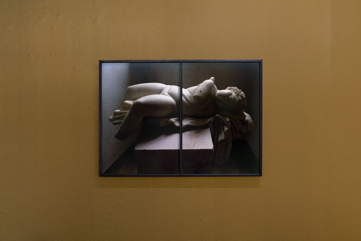 Suspended Time (Dormant Love) (diptych) by Ellen Dahl