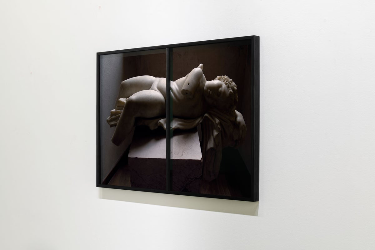 Suspended Time (Dormant Love) (diptych) by Ellen Dahl