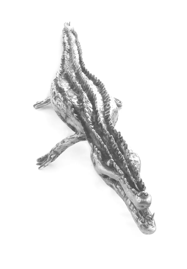Crocodile, 2011 by Bob Burrawal