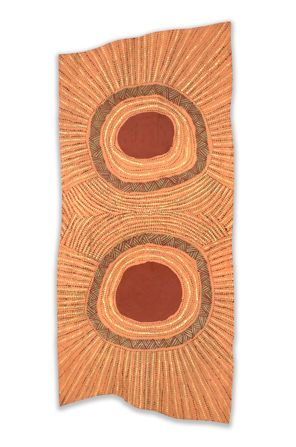 Yipali and Purrukupali, 2026 by Carol Puruntatameri
