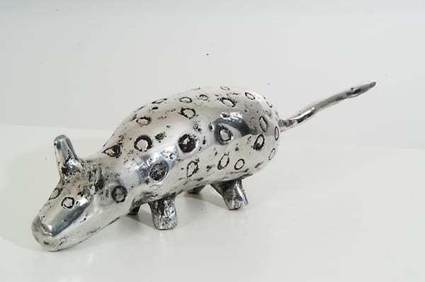 Quoll 2, 2011 by Lena Yarinkura