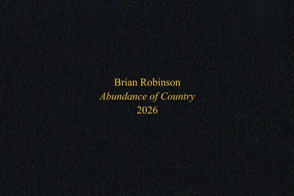 Abundance of Country (Bronze series) Solander box full set, 2026 by Brian Robinson