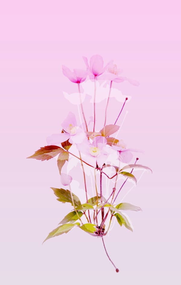 Pastel, 2022 by Mira Solis