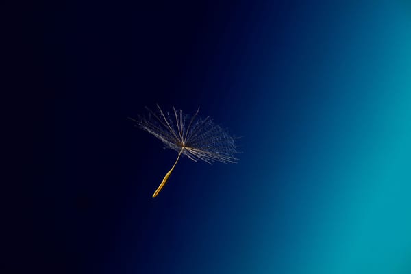 Night Drift 1, 2025 by Lila Rowan