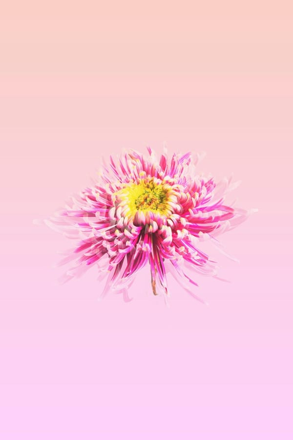 Floral Kaleidoscope, 2023 by Sienna Hart