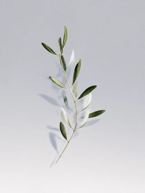 Silverleaf Study, 1922 by David Young-Cameron