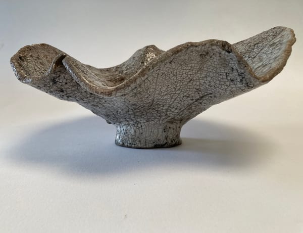 78. Organic form, 2026 by Bronwen Bradshaw RWA