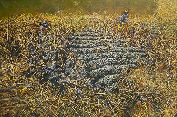 76. Barn Wasp Nest, 2026 by Martin Bentham RWA