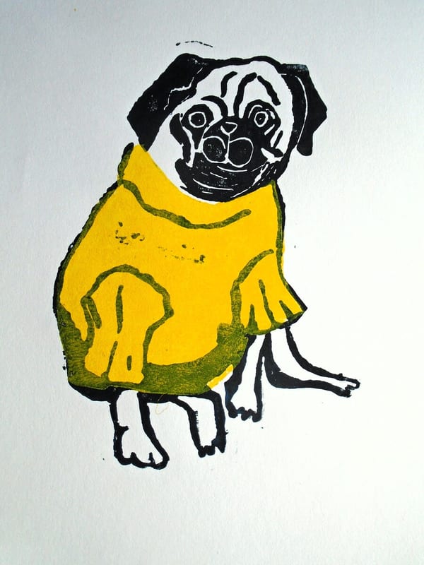 402. Edition - Buttercup, 2026 by Cecilia Rouncefield