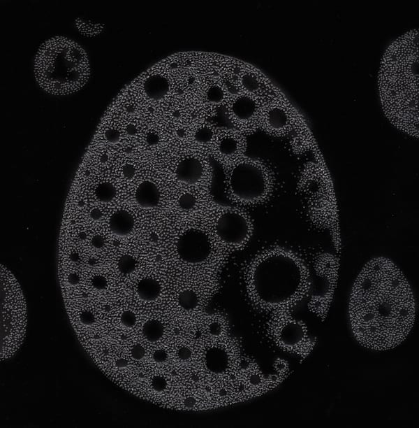 504. Galaxy egg, 2025 by Jessa Fairbrother RWA