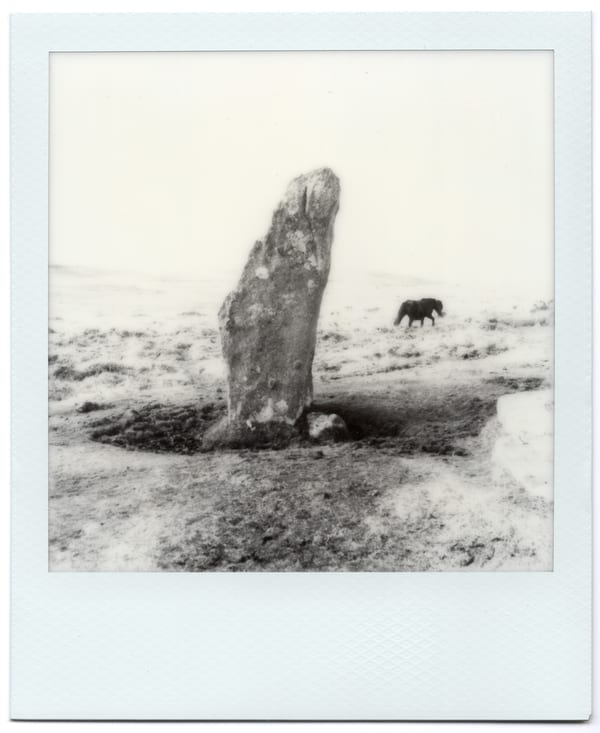 297. Midsummer's Stone, 2026 by Matthew Dennis