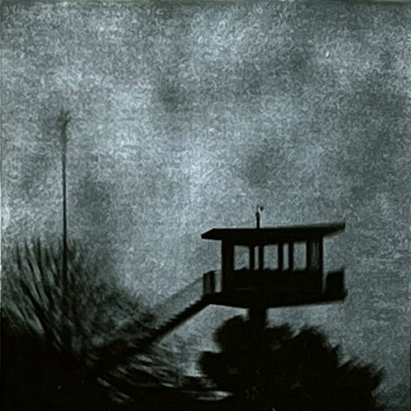 330. Edition - Cabin, 2025 by Michelle Hinshelwood