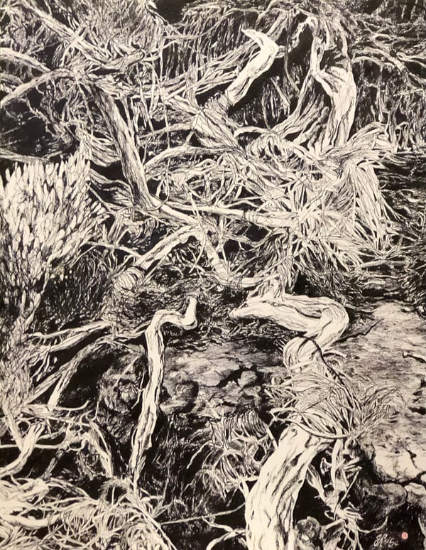 Wetlands Contemplation by Jo Reitze