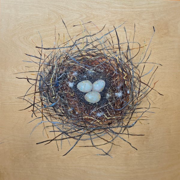 Great Expectations by Sally Bowen