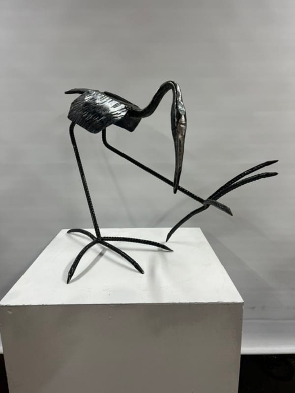 The Jesus Bird by Paul Cacioli
