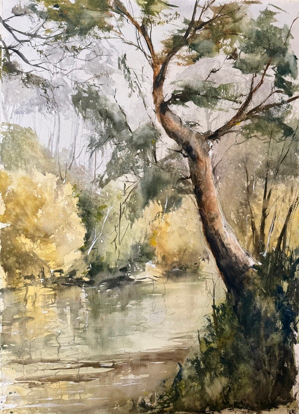 Warrandyte spring day by Dragan Antolos