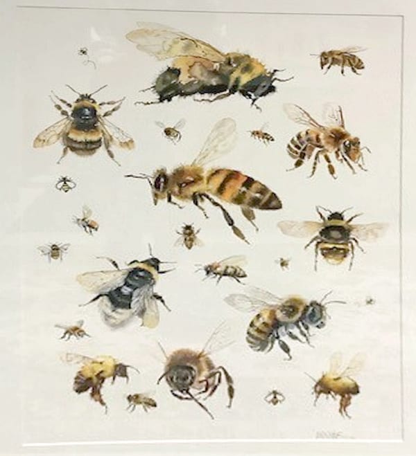 I Love Bees by Joan Denner