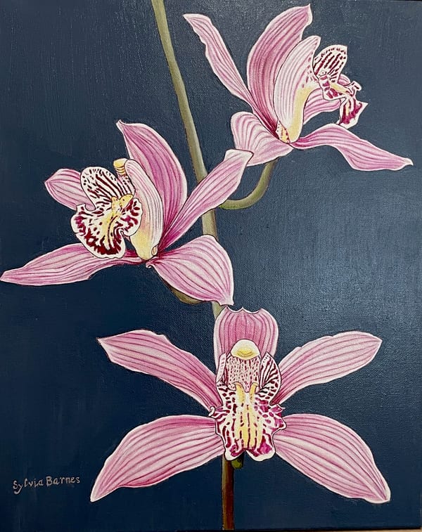Pink and Magenta Orchids by Sylvia Barnes