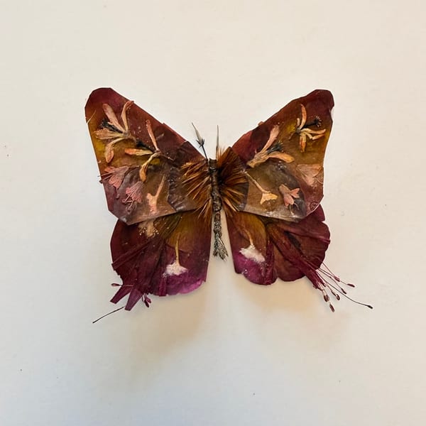 Butterfly Set by Emily Chibwana