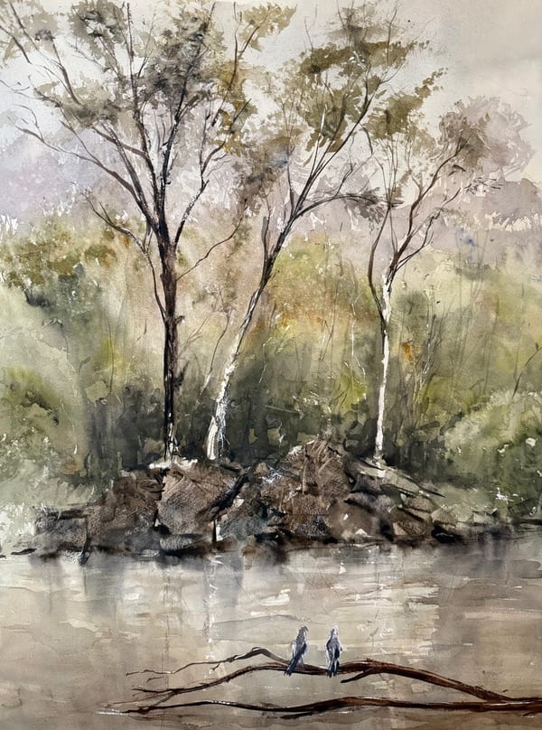 Warrandyte river by Dragan Antolos