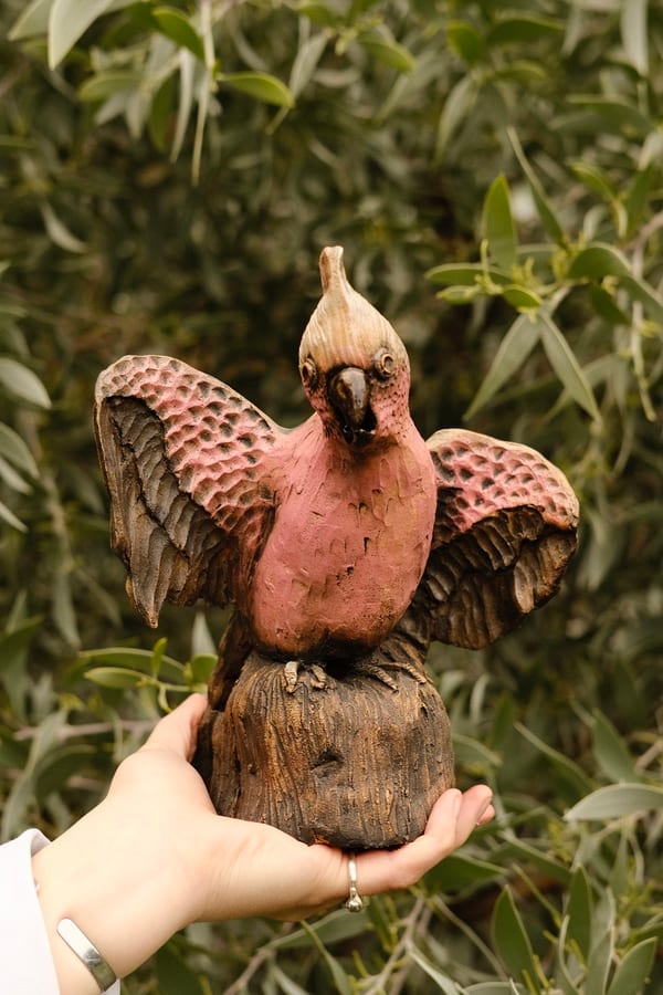 Ah ya galah by Liz Cameron
