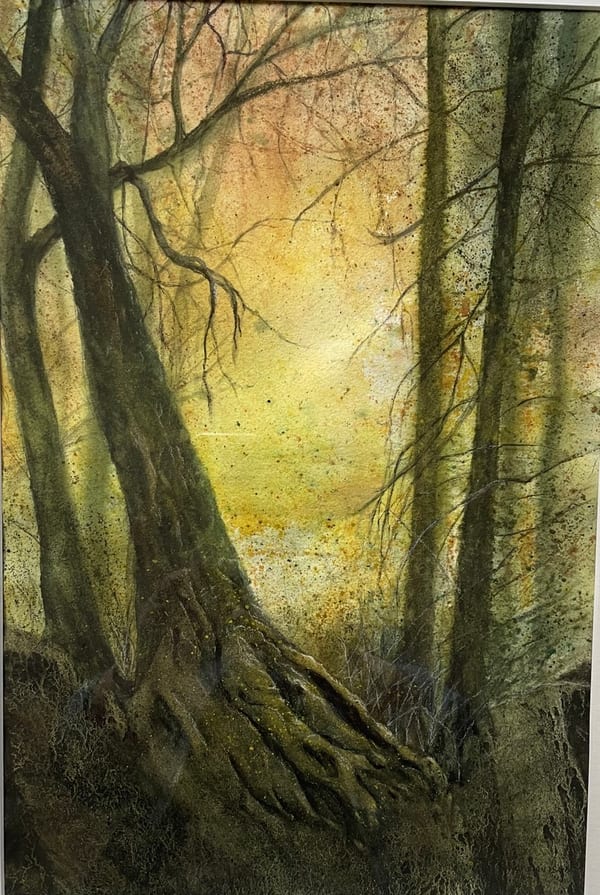 Morning Light by Nancye Davison